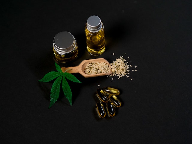 How Can CBD Help Your Pet?